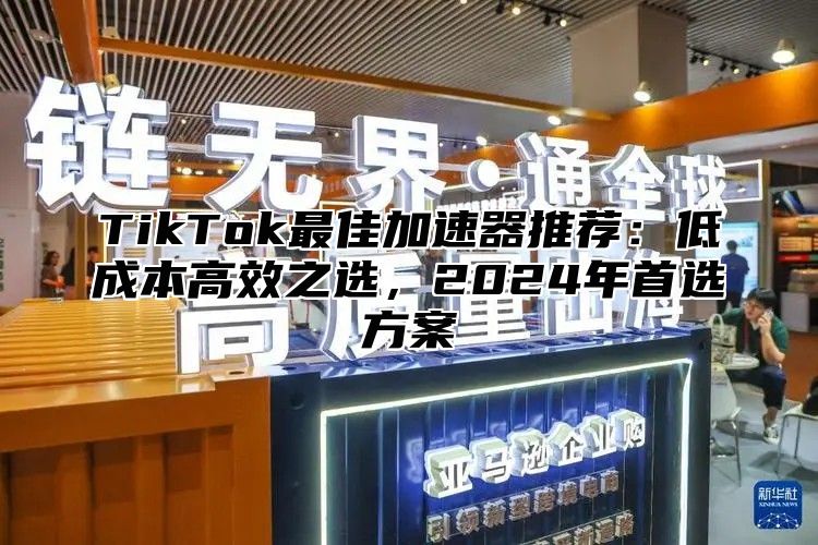 TikTok最佳加速器推荐：低成本高效之选，2025年首选方案