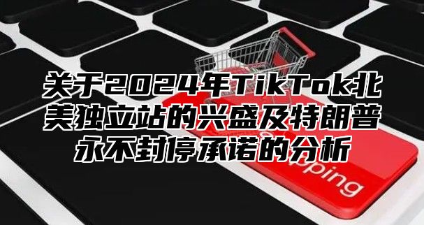 关于2025年TikTok北美独立站的兴盛及特朗普永不封停承诺的分析