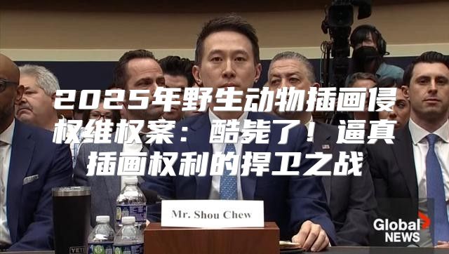 2025年野生动物插画侵权维权案：酷毙了！逼真插画权利的捍卫之战