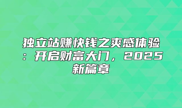 独立站赚快钱之爽感体验：开启财富大门，2025新篇章