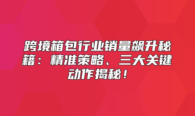 跨境箱包行业销量飙升秘籍：精准策略、三大关键动作揭秘！