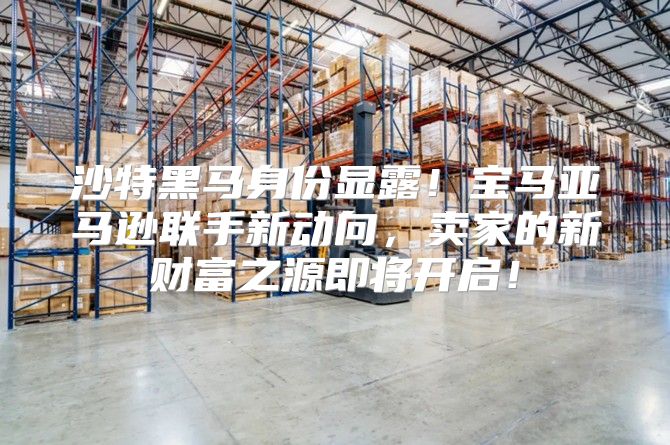 沙特黑马身份显露！宝马亚马逊联手新动向，卖家的新财富之源即将开启！