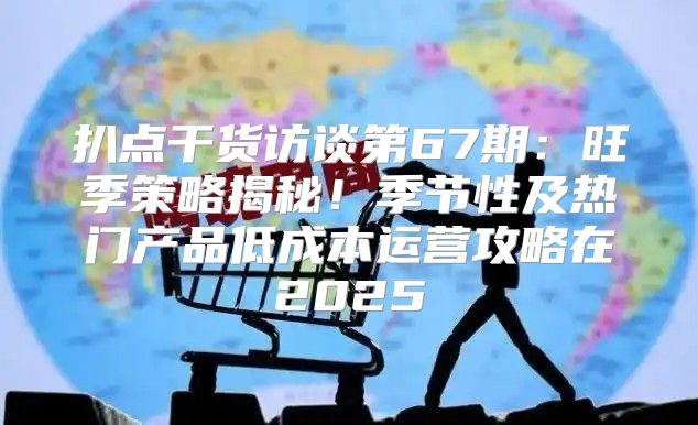 扒点干货访谈第67期：旺季策略揭秘！季节性及热门产品低成本运营攻略在2025