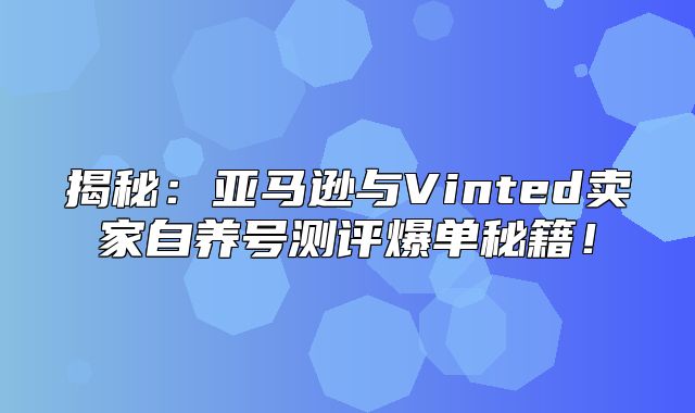 揭秘：亚马逊与Vinted卖家自养号测评爆单秘籍！