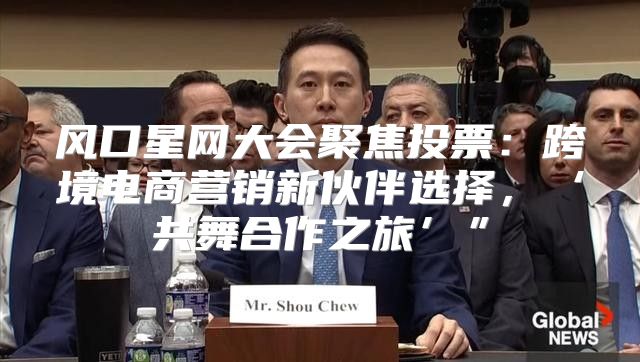 风口星网大会聚焦投票：跨境电商营销新伙伴选择，‘共舞合作之旅’”