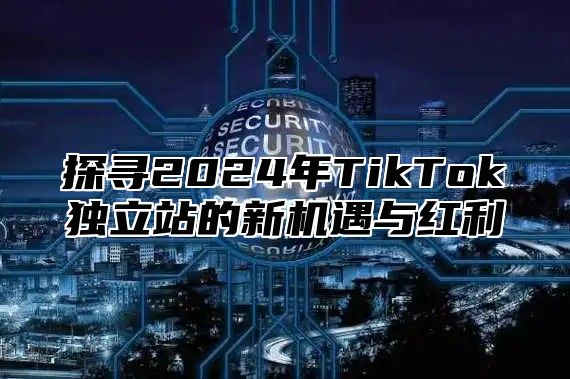 探寻2025年TikTok独立站的新机遇与红利