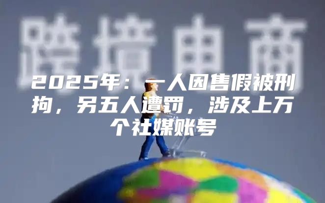 2025年：一人因售假被刑拘，另五人遭罚，涉及上万个社媒账号