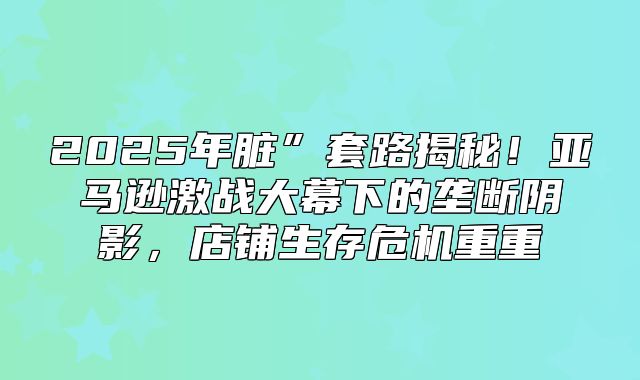 2025年脏”套路揭秘！亚马逊激战大幕下的垄断阴影，店铺生存危机重重