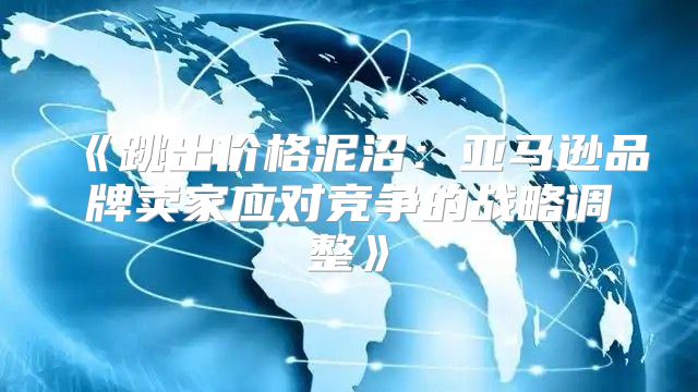 跳出价格泥沼：亚马逊品牌卖家应对竞争的战略调整