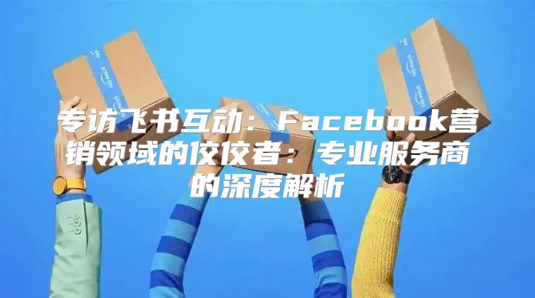 专访飞书互动：Facebook营销领域的佼佼者：专业服务商的深度解析