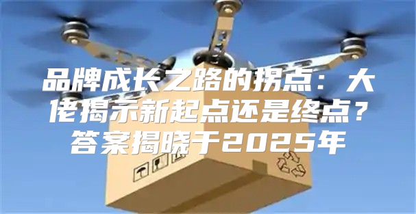 品牌成长之路的拐点：大佬揭示新起点还是终点？答案揭晓于2025年
