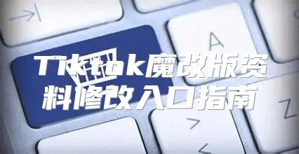 Tiktok魔改版资料修改入口指南