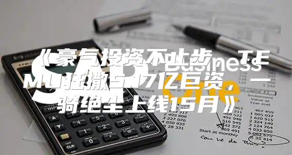 豪气投资不止步，TEMU狂撒5.17亿巨资，一骑绝尘上线15月