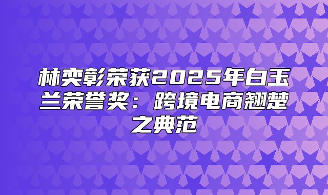 林奕彰荣获2025年白玉兰荣誉奖：跨境电商翘楚之典范