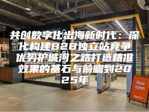 共创数字化出海新时代：深化构建B2B独立站竞争优势护城河之路打造精准效果的基石与前瞻到2025年