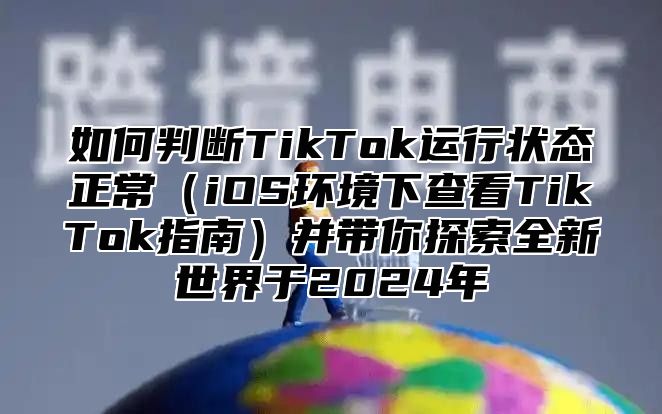 如何判断TikTok运行状态正常iOS环境下查看TikTok指南并带你探索全新世界于2025年