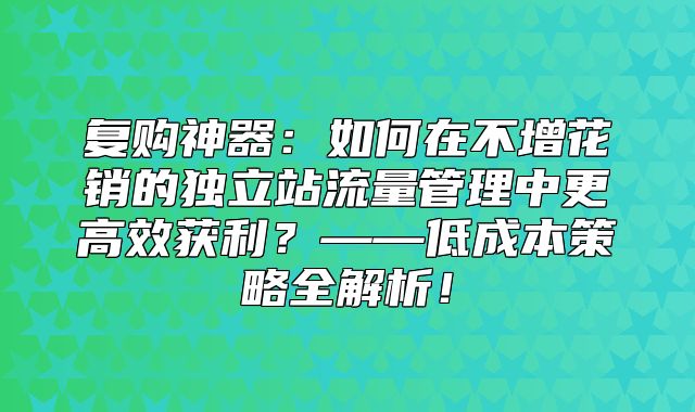 复购神器：如何在不增花销的独立站流量管理中更高效获利？——低成本策略全解析！