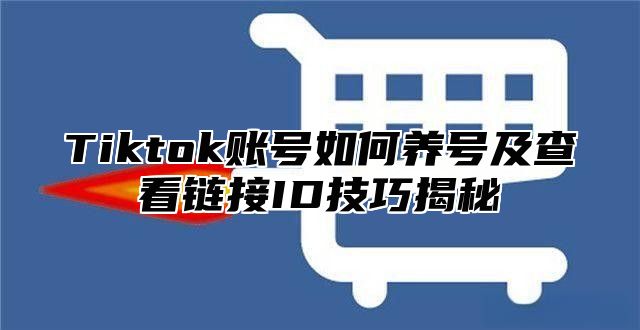 Tiktok账号如何养号及查看链接ID技巧揭秘