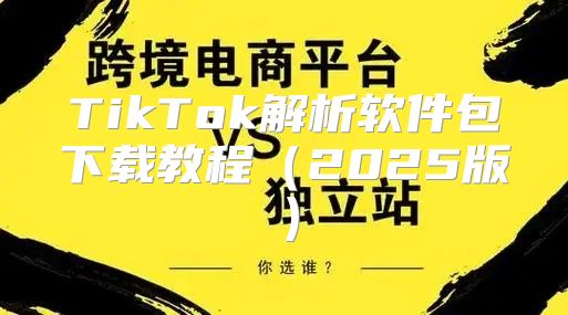 TikTok解析软件包下载教程2025版