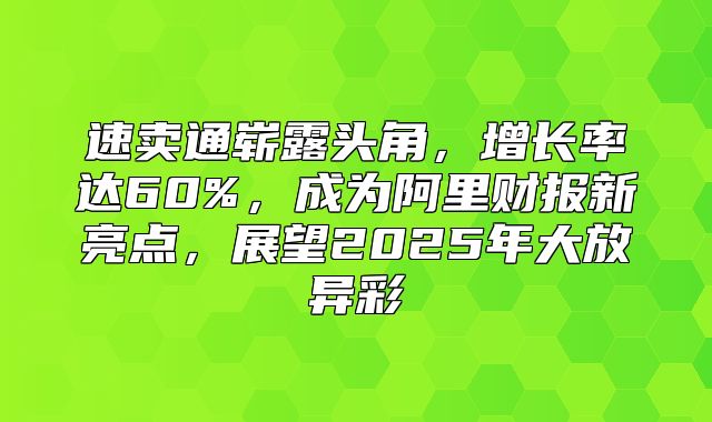 速卖通崭露头角，增长率达60%，成为阿里财报新亮点，展望2025年大放异彩