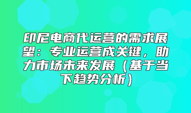 印尼电商代运营的需求展望：专业运营成关键，助力市场未来发展基于当下趋势分析
