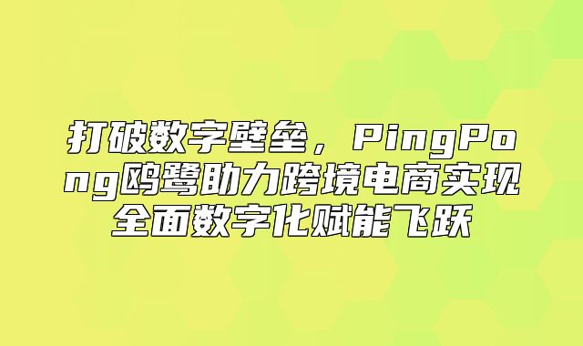 打破数字壁垒，PingPong鸥鹭助力跨境电商实现全面数字化赋能飞跃