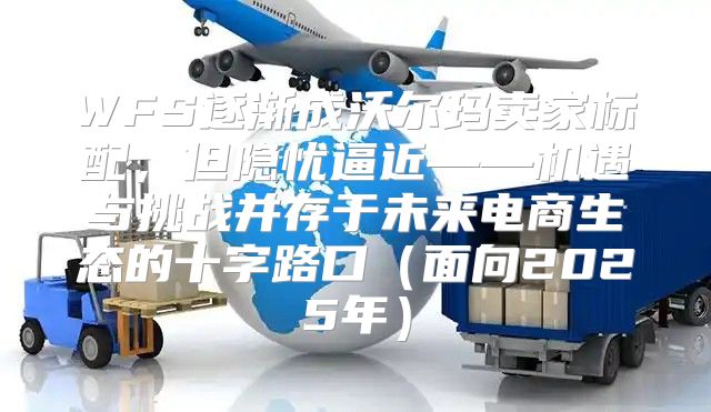 WFS逐渐成沃尔玛卖家标配，但隐忧逼近——机遇与挑战并存于未来电商生态的十字路口面向2025年