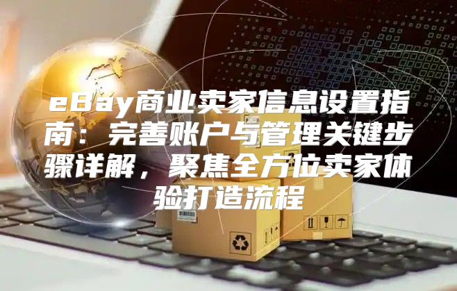 eBay商业卖家信息设置指南：完善账户与管理关键步骤详解，聚焦全方位卖家体验打造流程