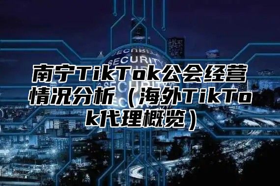 南宁TikTok公会经营情况分析海外TikTok代理概览