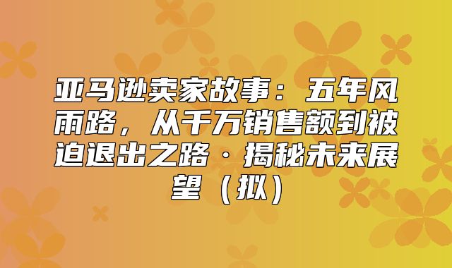 亚马逊卖家故事：五年风雨路，从千万销售额到被迫退出之路·揭秘未来展望拟