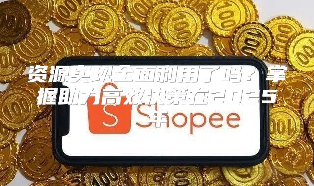 资源实现全面利用了吗？掌握助力高效决策在2025年