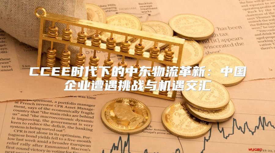 CCEE时代下的中东物流革新：中国企业遭遇挑战与机遇交汇