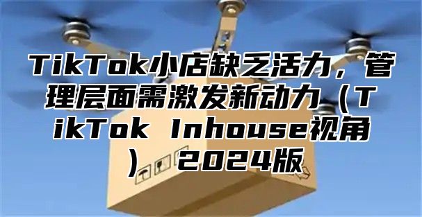TikTok小店缺乏活力，管理层面需激发新动力TikTok Inhouse视角 2025版