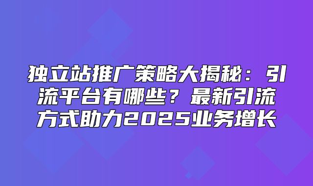 独立站推广策略大揭秘：引流平台有哪些？最新引流方式助力2025业务增长
