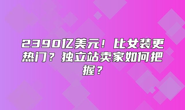 2390亿美元！比女装更热门？独立站卖家如何把握？