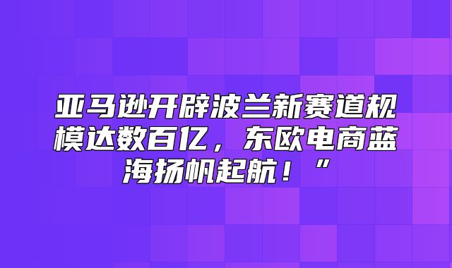亚马逊开辟波兰新赛道规模达数百亿，东欧电商蓝海扬帆起航！”