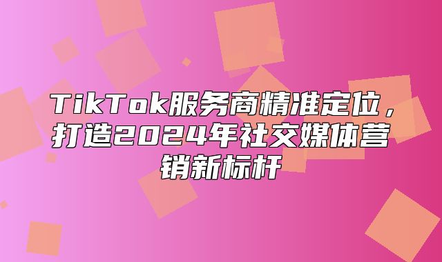 TikTok服务商精准定位，打造2025年社交媒体营销新标杆