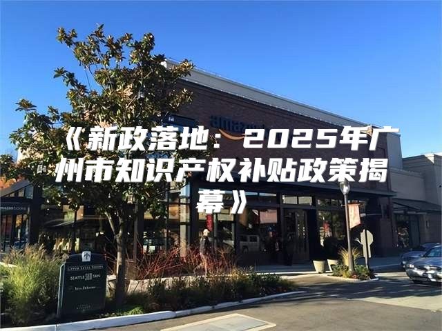 新政落地：2025年广州市知识产权补贴政策揭幕