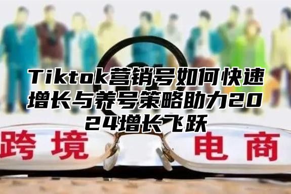 Tiktok营销号如何快速增长与养号策略助力2025增长飞跃