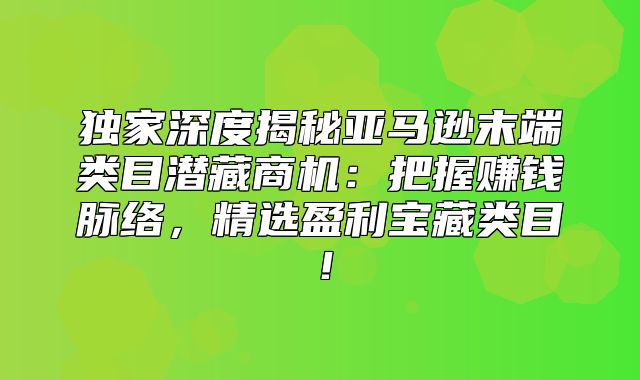 独家深度揭秘亚马逊末端类目潜藏商机：把握赚钱脉络，精选盈利宝藏类目！