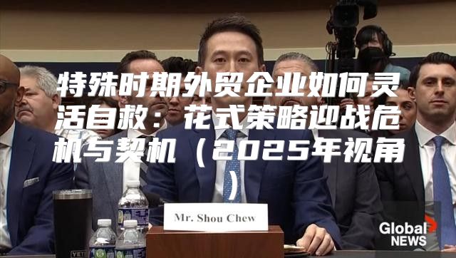 特殊时期外贸企业如何灵活自救：花式策略迎战危机与契机2025年视角