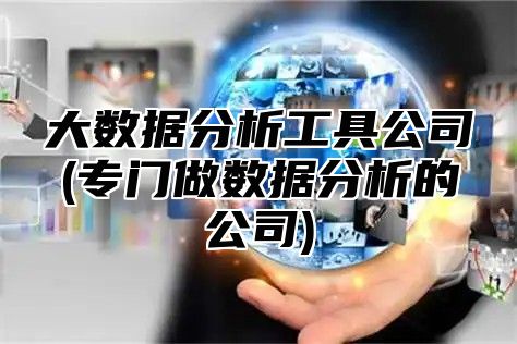 大数据分析工具公司(专门做数据分析的公司)