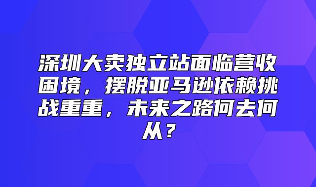 深圳大卖独立站面临营收困境，摆脱亚马逊依赖挑战重重，未来之路何去何从？