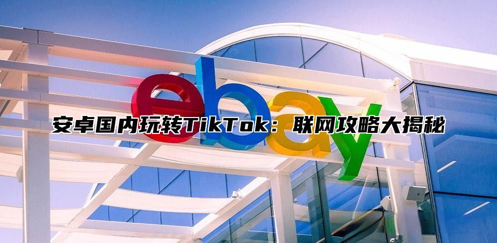 安卓国内玩转TikTok：联网攻略大揭秘