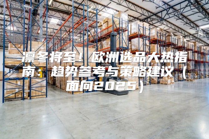 凛冬将至！欧洲选品大热指南：趋势参考与策略建议面向2025
