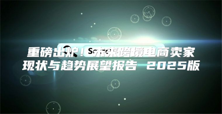 重磅出炉！未来跨境电商卖家现状与趋势展望报告 2025版