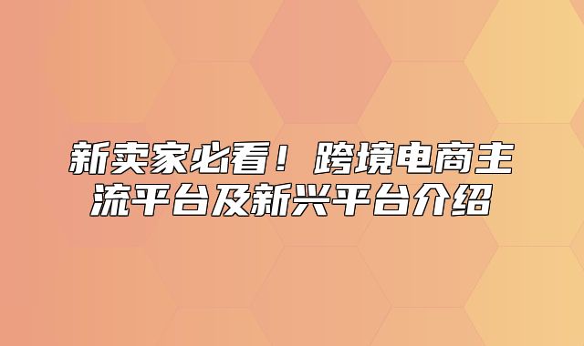 新卖家必看！跨境电商主流平台及新兴平台介绍