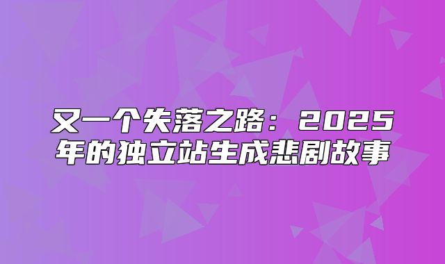 又一个失落之路：2025年的独立站生成悲剧故事