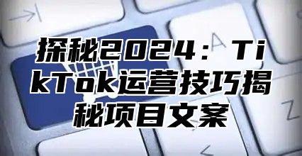 探秘2025TikTok运营技巧揭秘项目文案