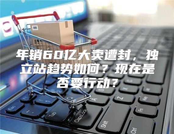 年销60亿大卖遭封，独立站趋势如何？现在是否要行动？